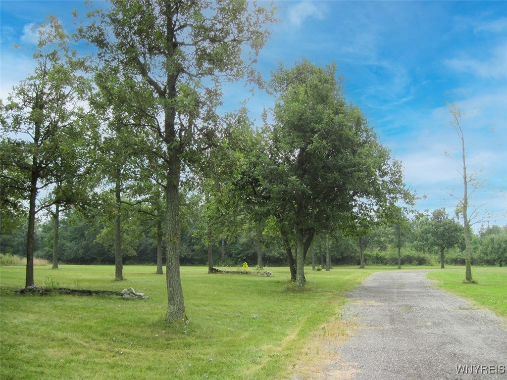 5129 Kraus Road