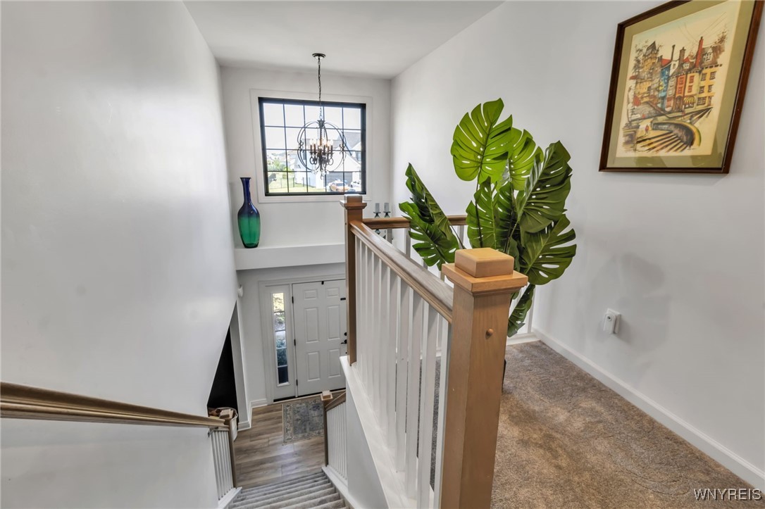 8965 Willyoungs Overlook