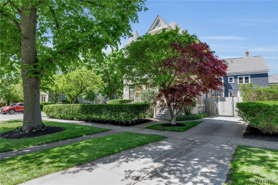 482 Linwood Avenue