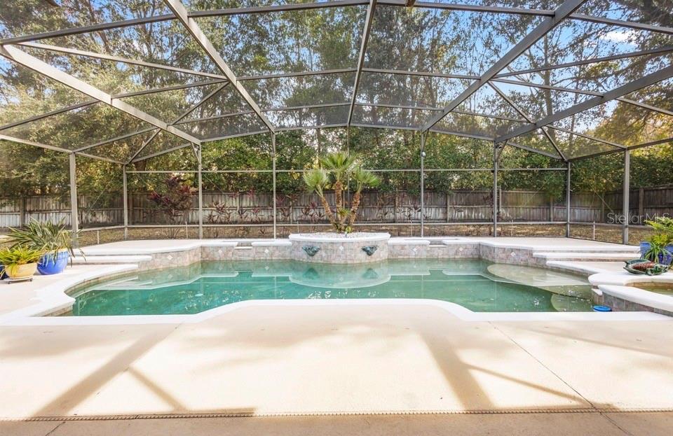 281 MEADOW BEAUTY TER