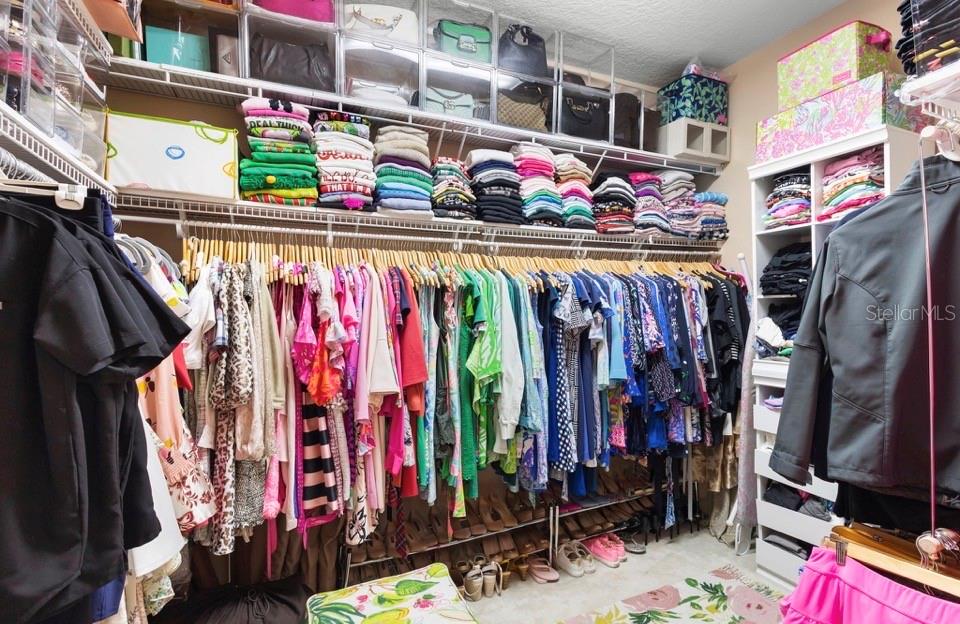 281 MEADOW BEAUTY TER