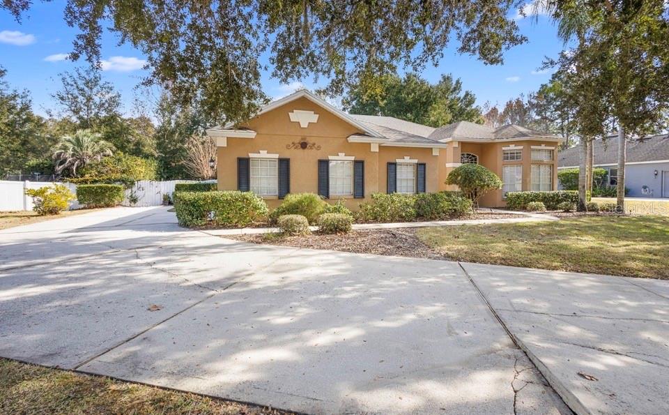 281 MEADOW BEAUTY TER