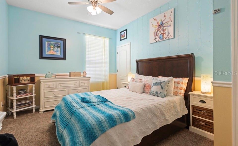 281 MEADOW BEAUTY TER