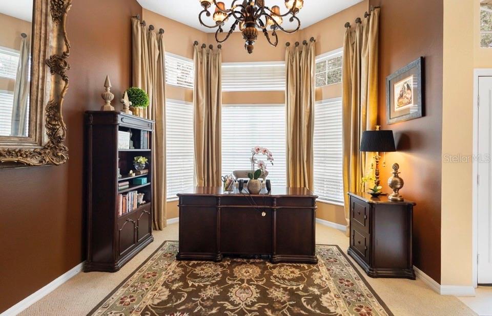 281 MEADOW BEAUTY TER