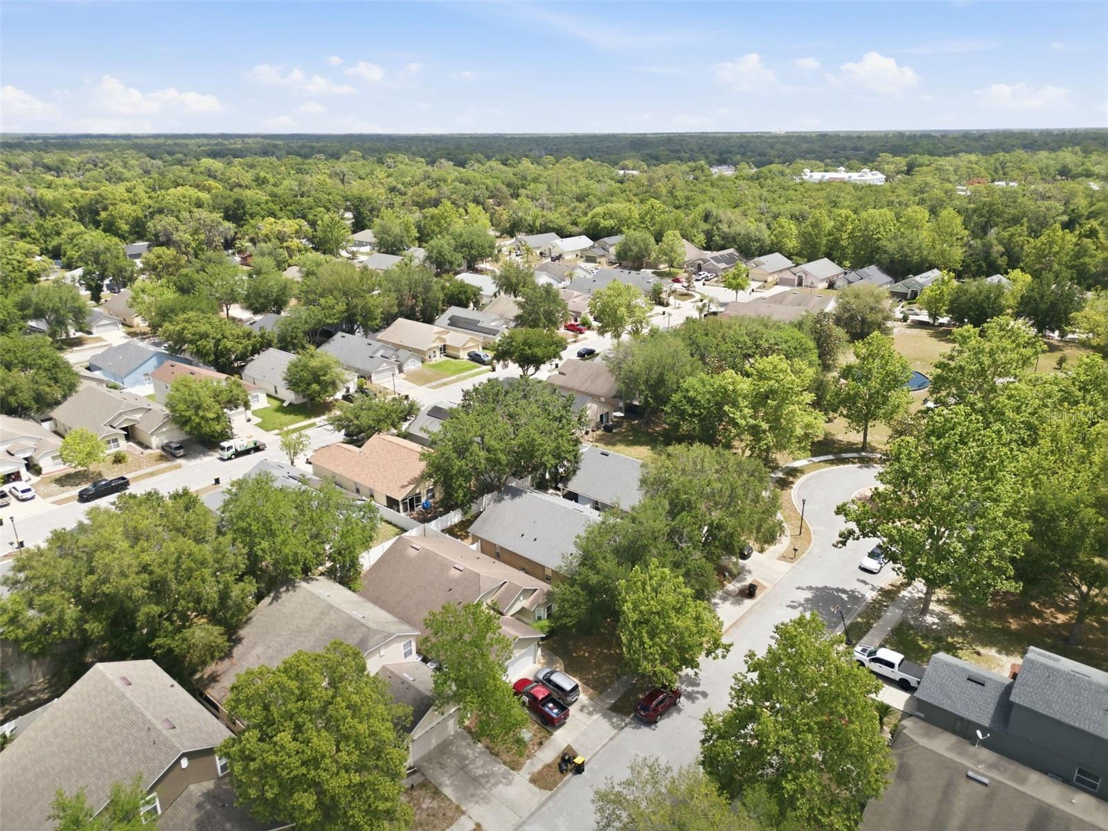 553 MAIDENHAIR CT