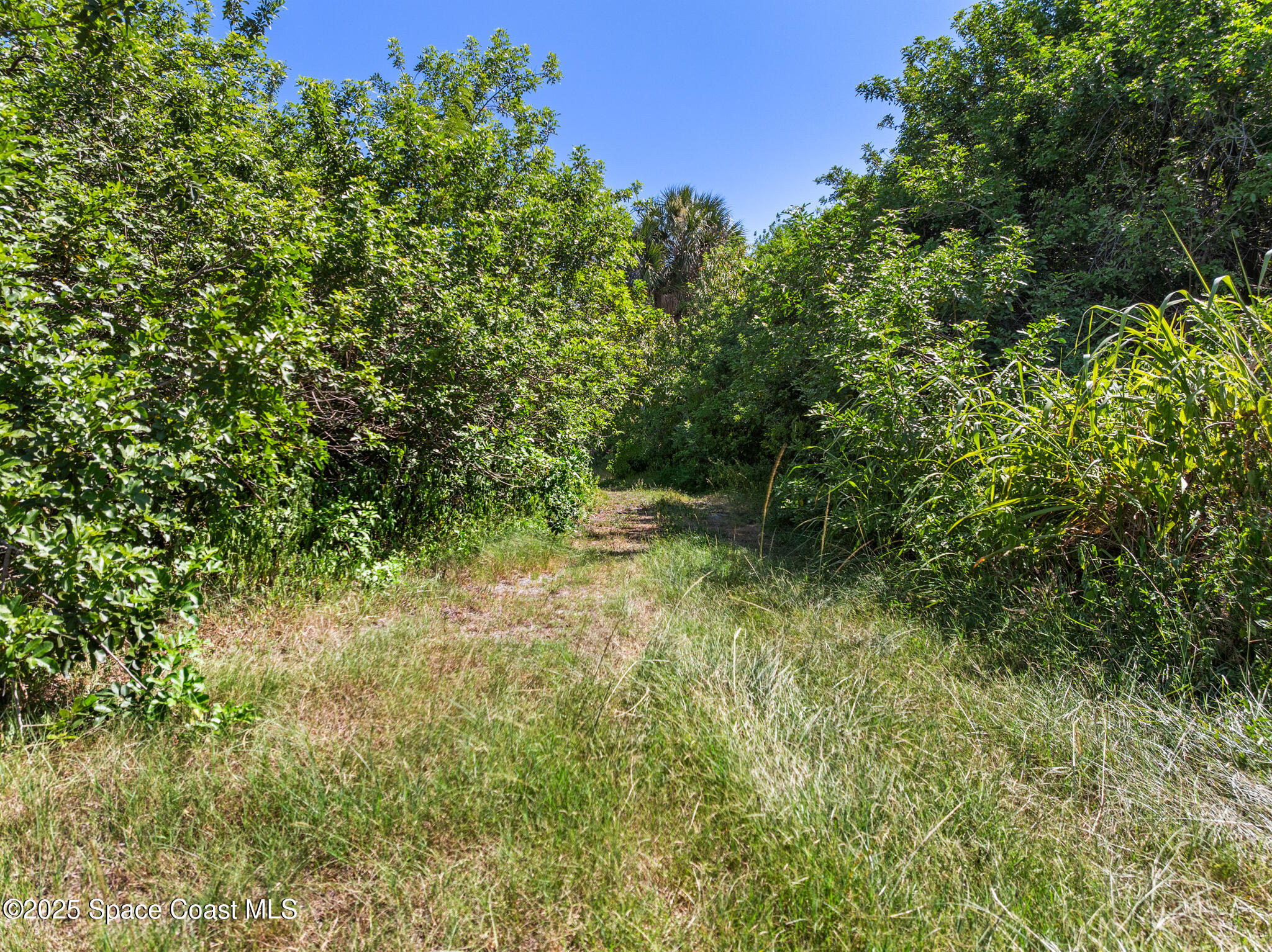 3545 Carriage Gate Drive