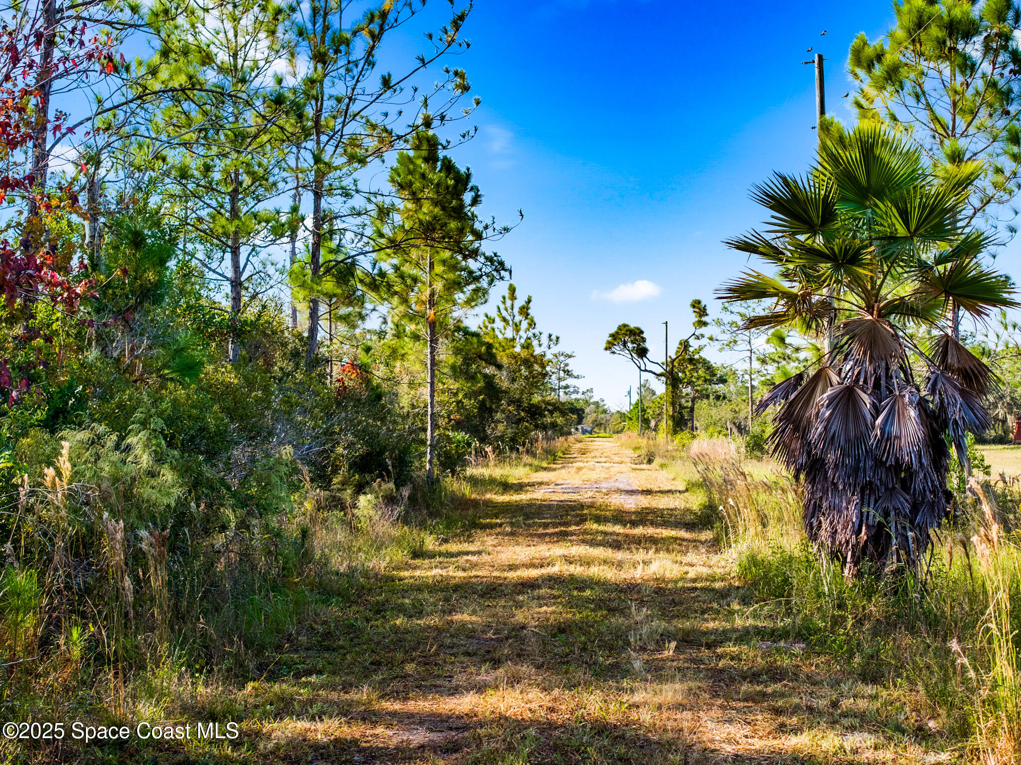 7740 E Irlo Bronson Memorial Highway, St. Cloud