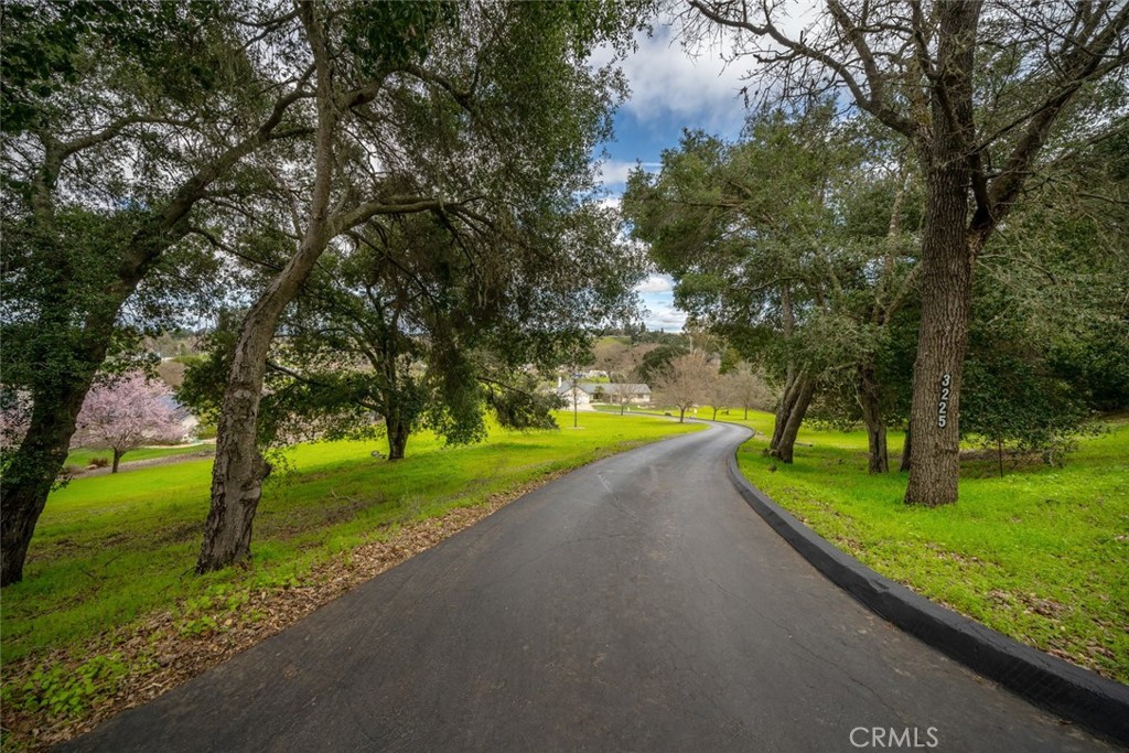 3225 Ardilla Road