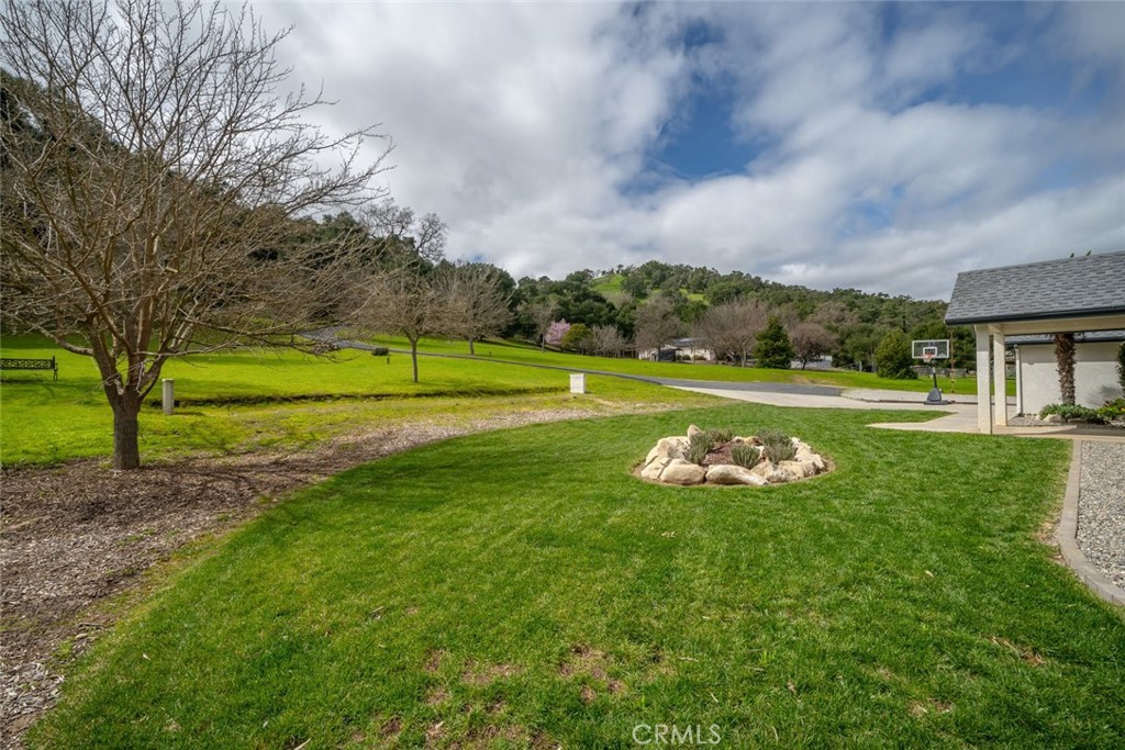 3225 Ardilla Road
