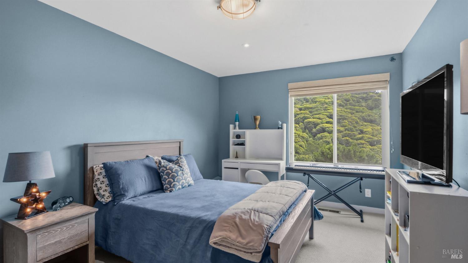 351 Carrera Drive