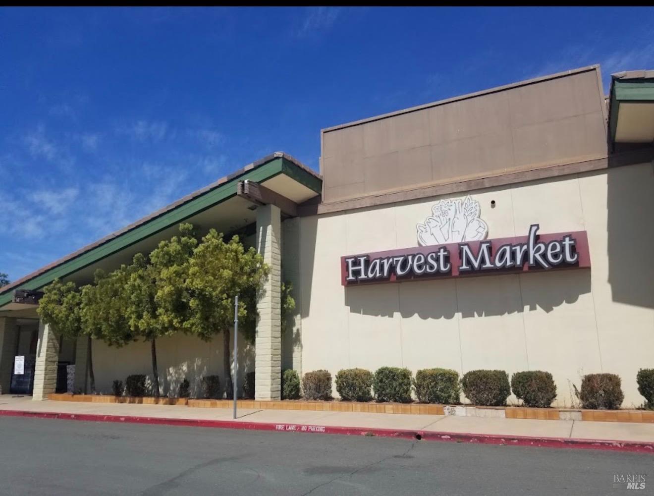 Harvest Market storefront with a prominent sign, trees, and shrubs along the sidewalk.