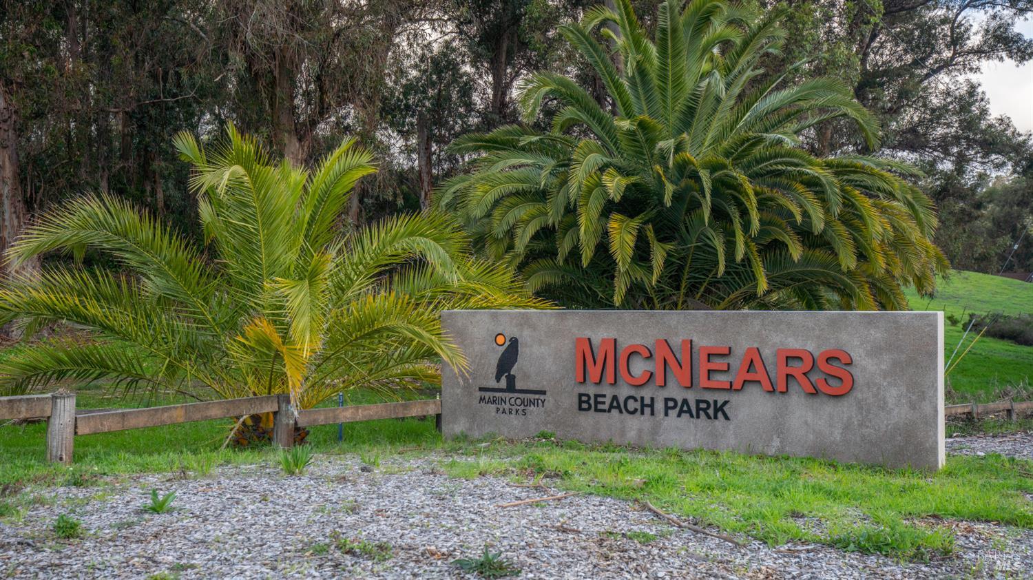 McNears Beach Park sign amid palm trees and greenery.