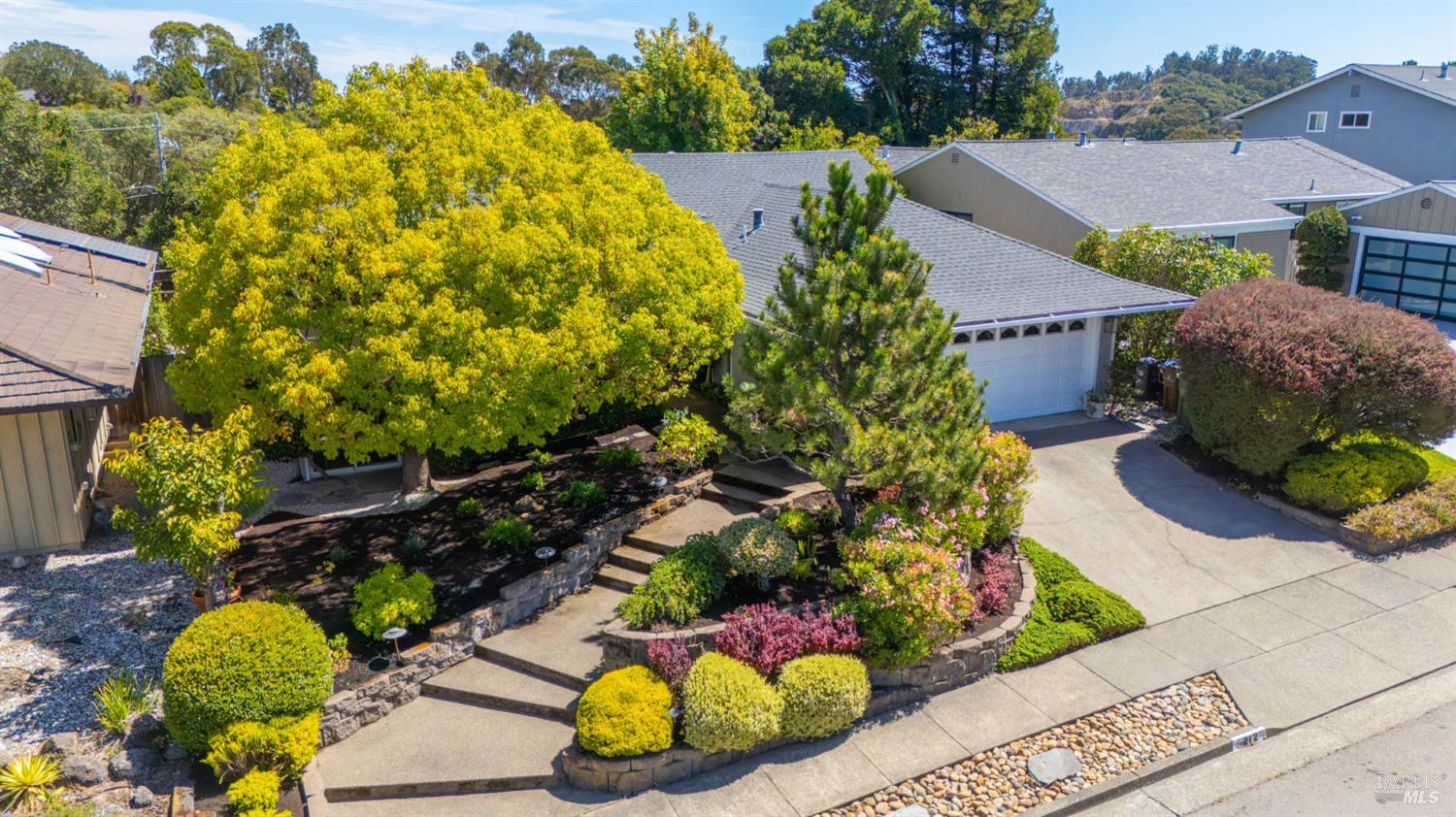Home with a landscaped stone entry, driveway, garage, and large yellow-leaved tree.