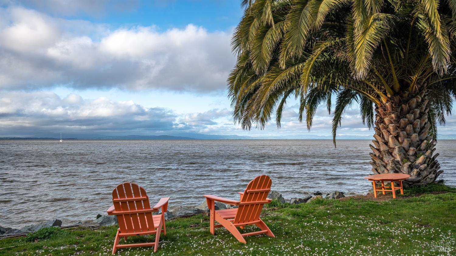 Waterfront lawn with orange Adirondack chairs beneath a palm tree, looking across the bay.