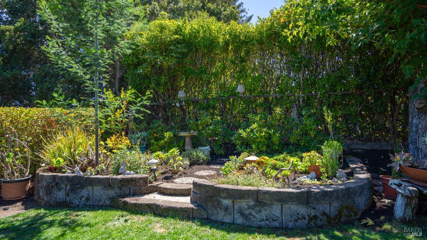 Landscaped garden with curved stone retaining walls, steps, dense greenery, and a birdbath.