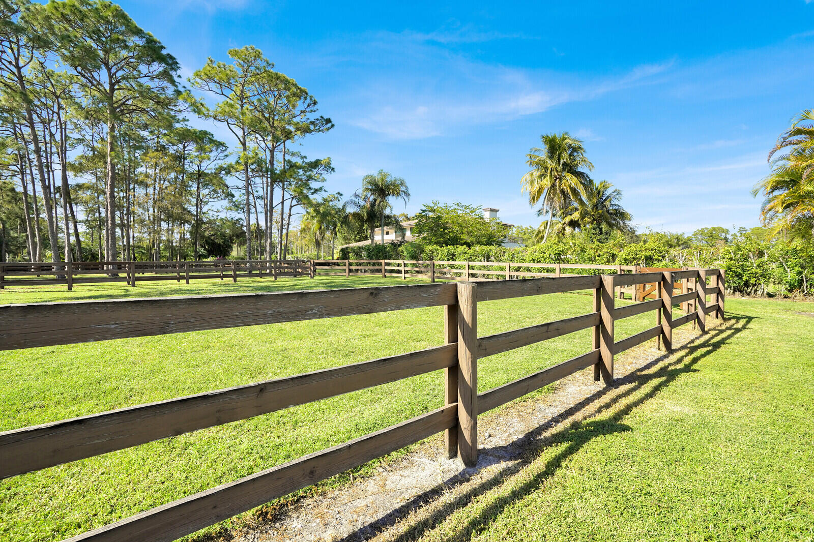 11231 IRA Lane