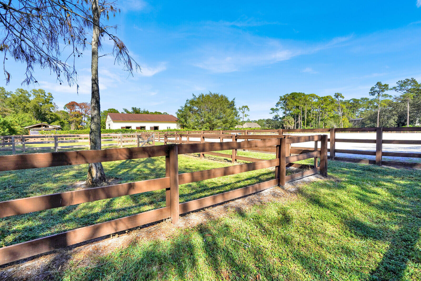 11231 IRA Lane