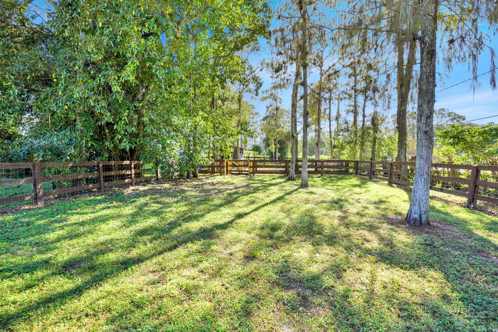 11231 IRA Lane
