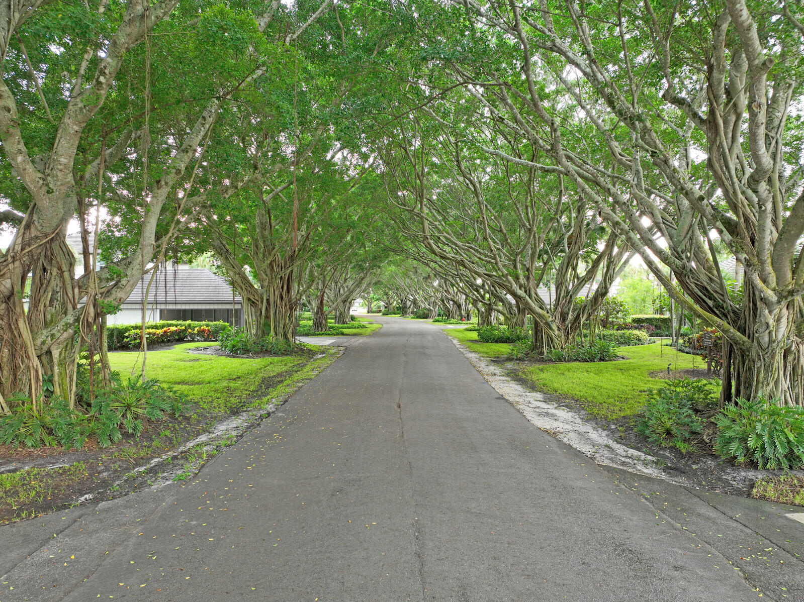 2735 POLO ISLAND Drive K104
