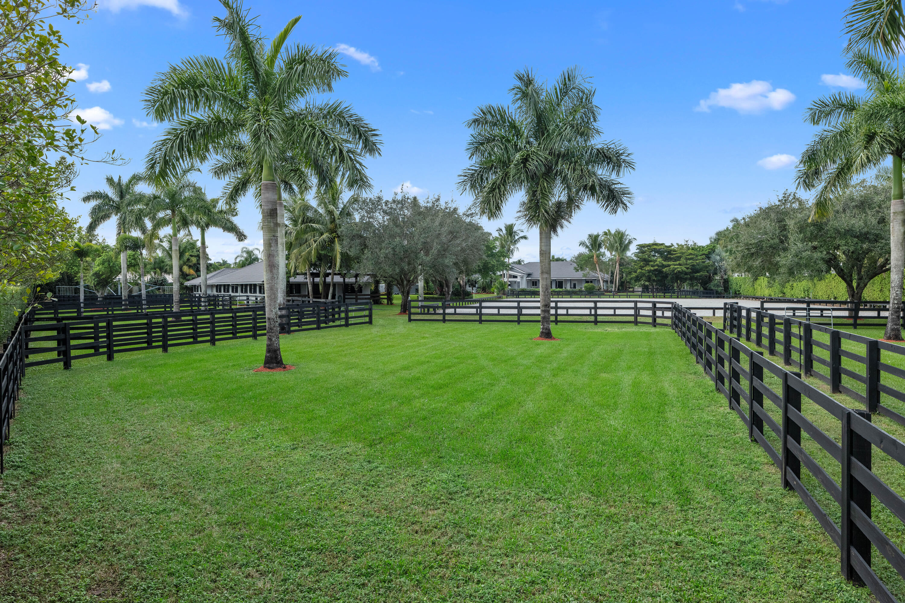 2488 Appaloosa Trail Trail