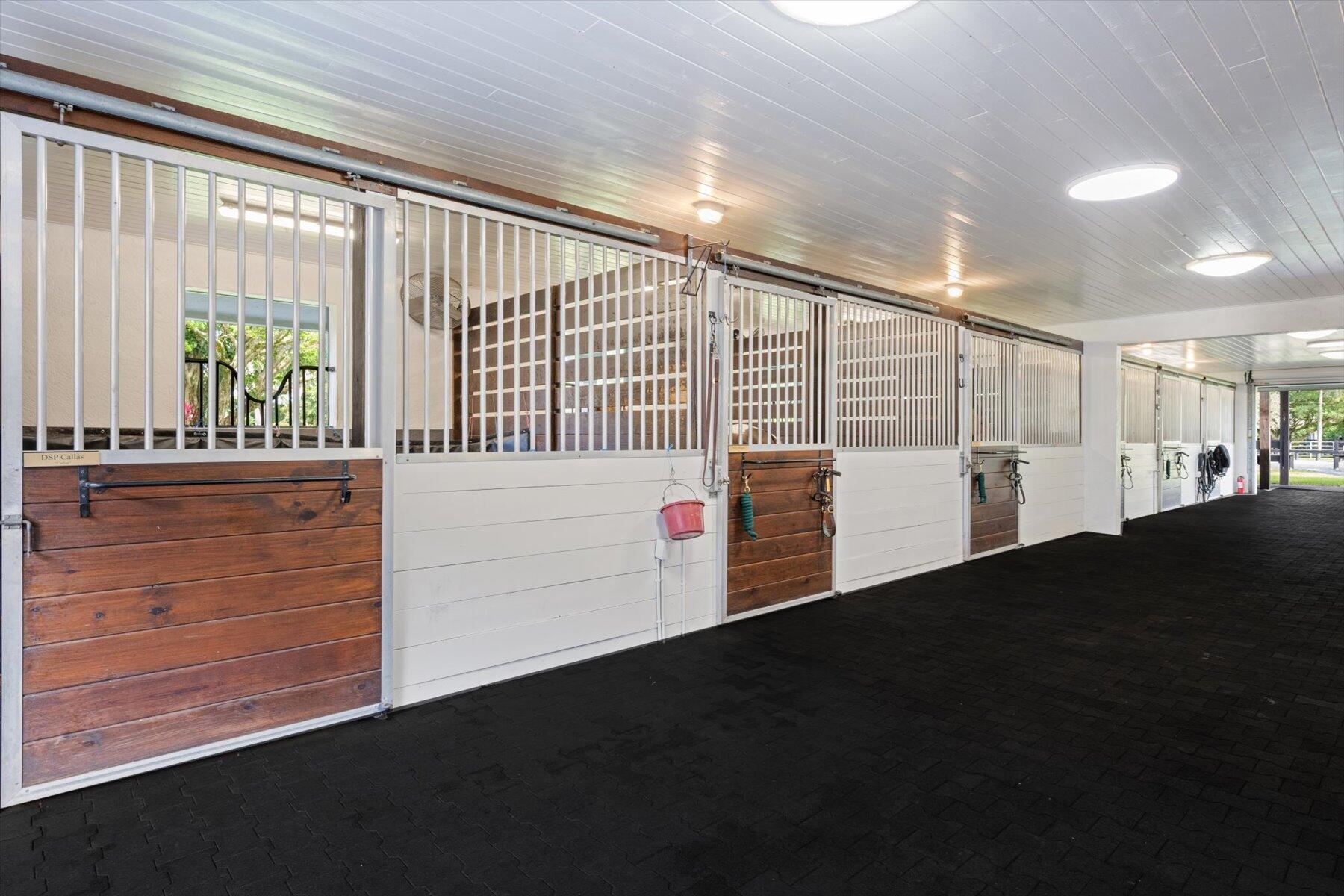 2488 Appaloosa Trail Trail
