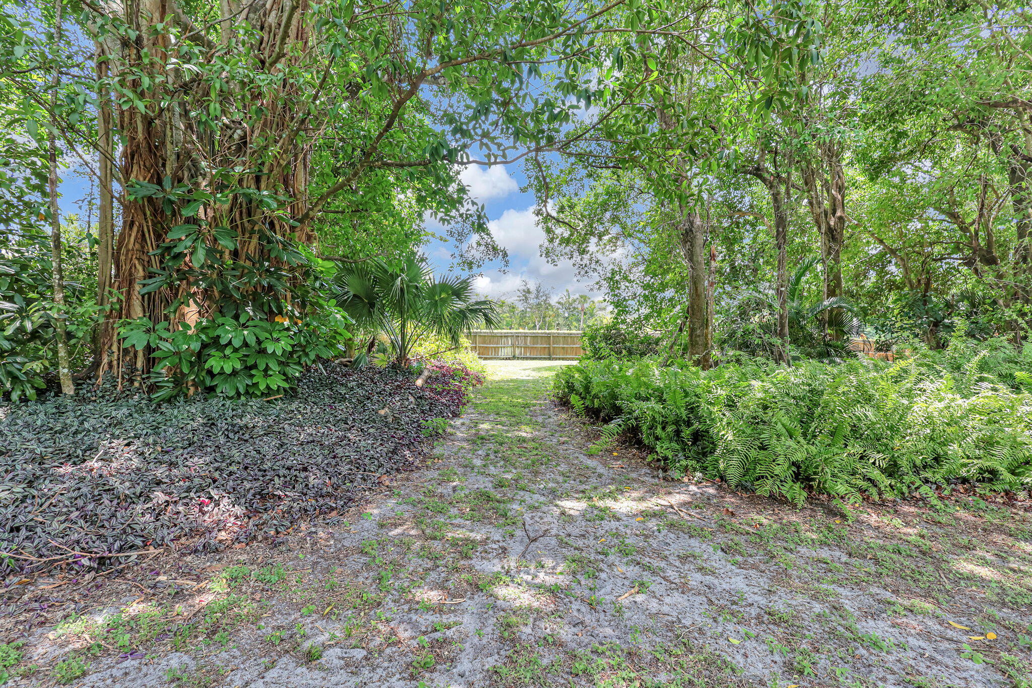 212 Forester Court