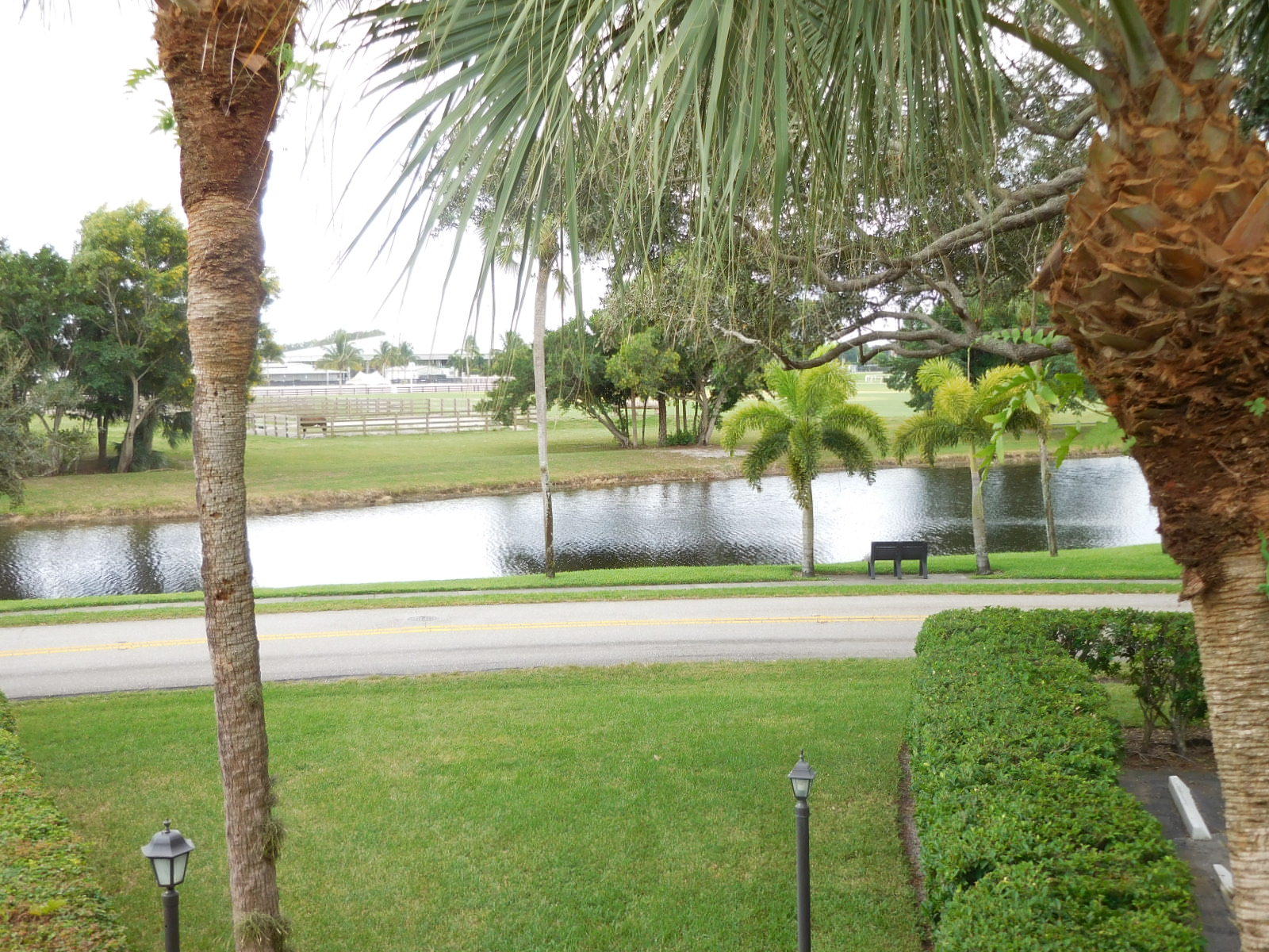 13334 Polo Club Road 309