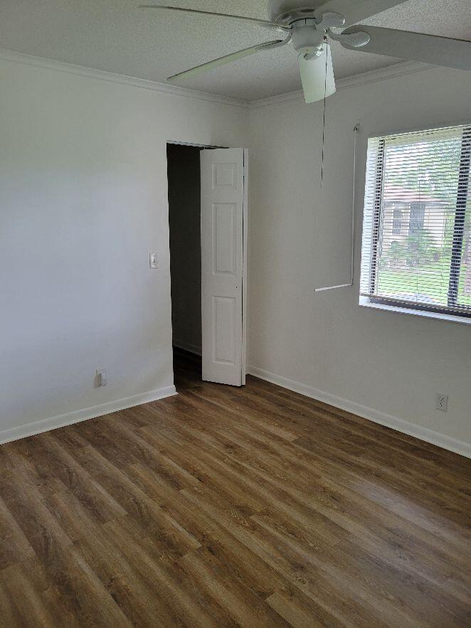 518 Shady Pine Way D2