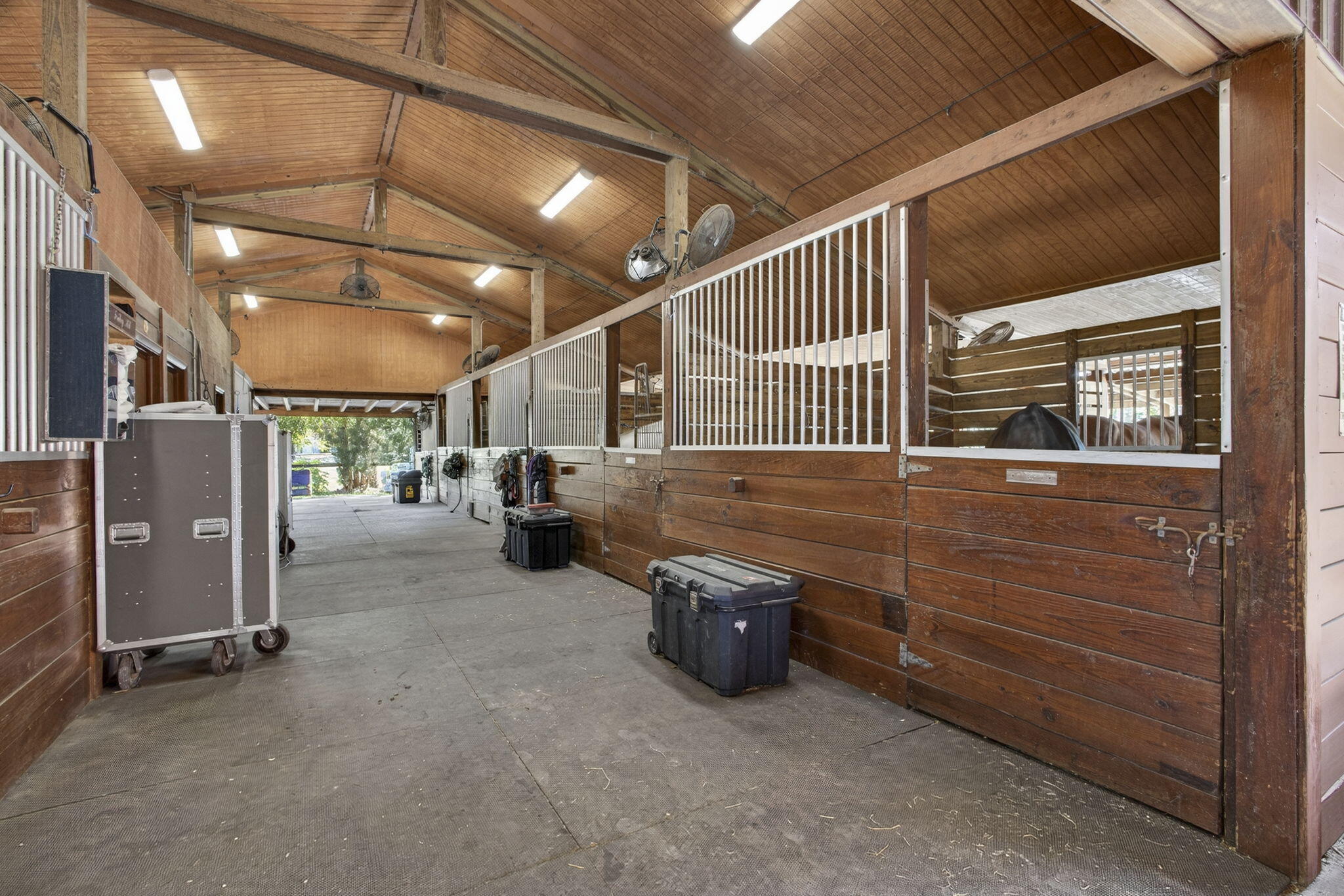 852 Cindy Drive