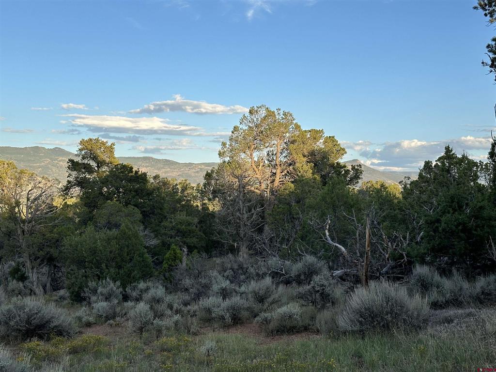 38.06 tbd Black Bear Trail