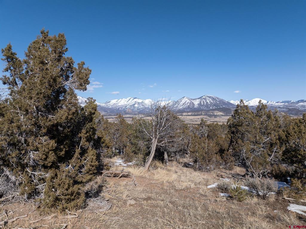 38.06 tbd Black Bear Trail
