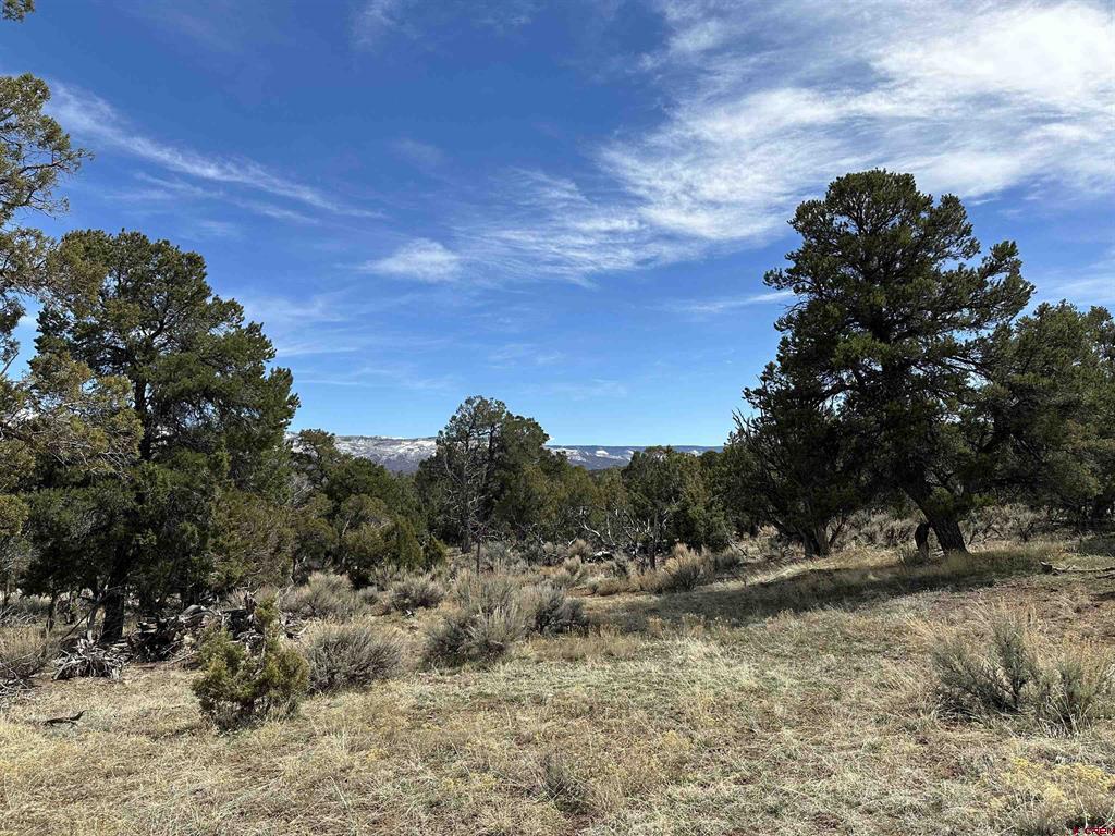 38.06 tbd Black Bear Trail