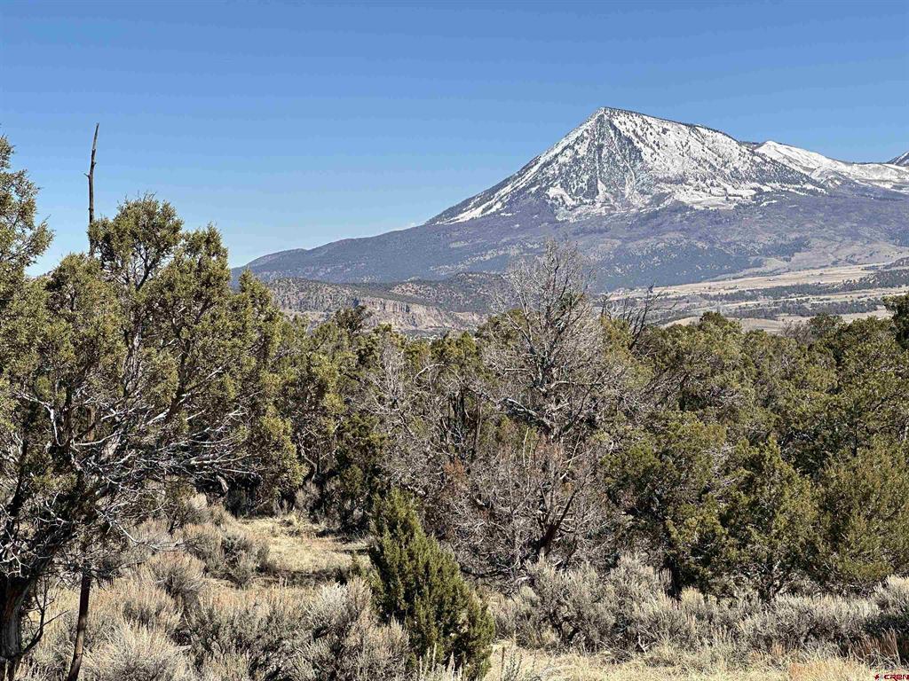38.06 tbd Black Bear Trail