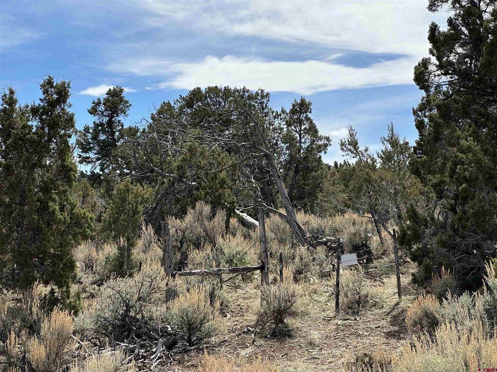 38.06 tbd Black Bear Trail