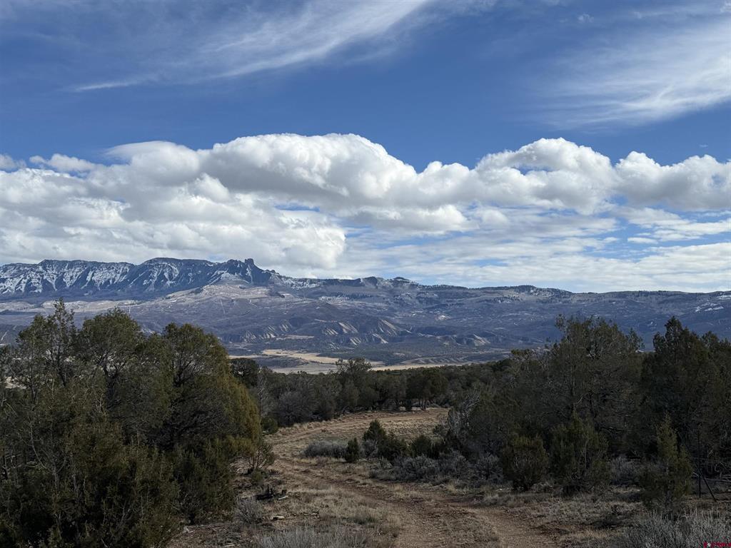 38.06 tbd Black Bear Trail