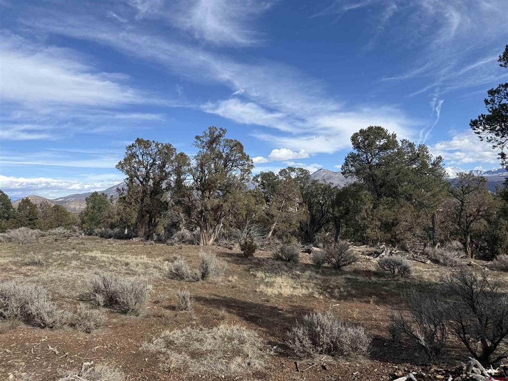 38.06 tbd Black Bear Trail