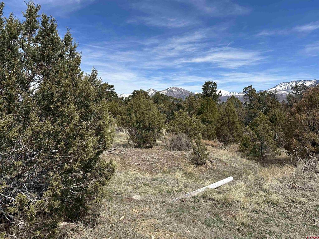 38.06 tbd Black Bear Trail