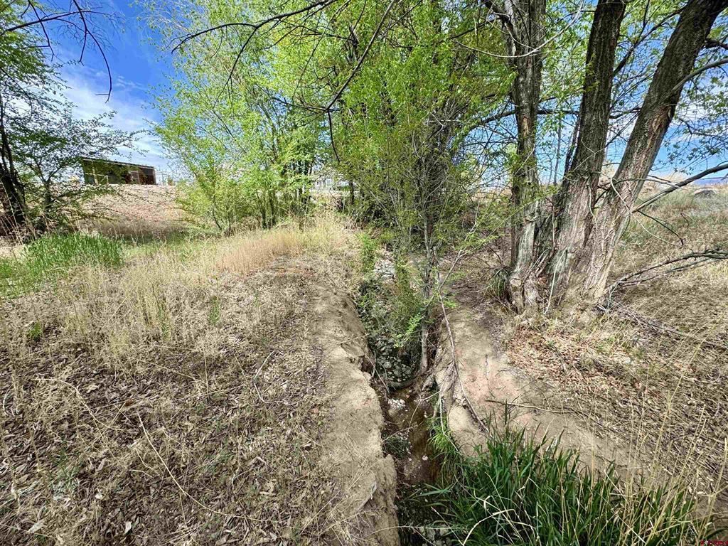 20570 Iris Road