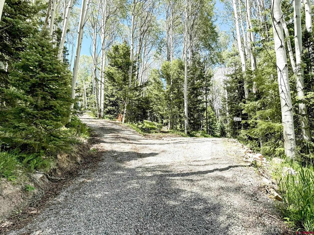 644 Columbine Drive