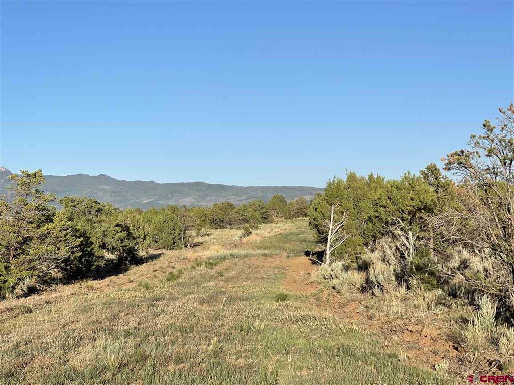 TBD Black Canyon Road