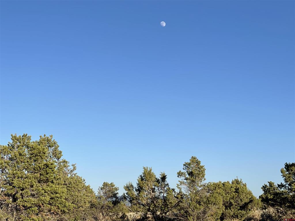 TBD Black Canyon Road