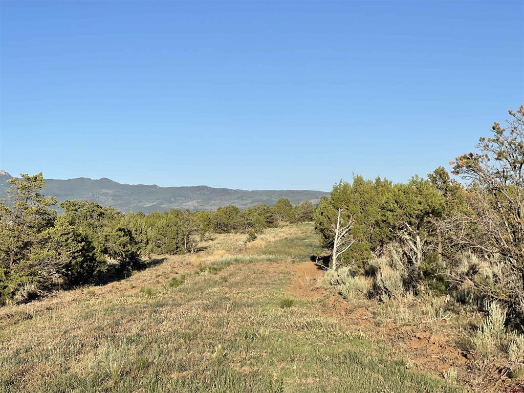 TBD Black Canyon Road