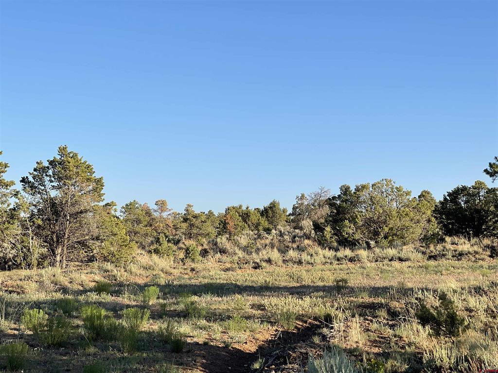 TBD Black Canyon Road