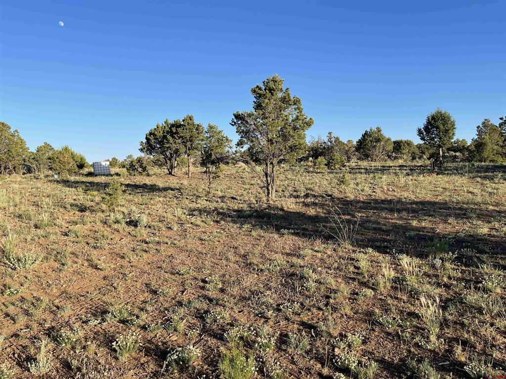 TBD Black Canyon Road