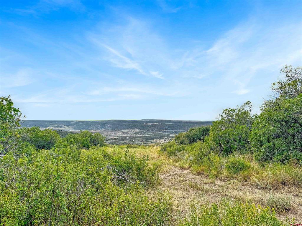 83274 Docs Pond Trail