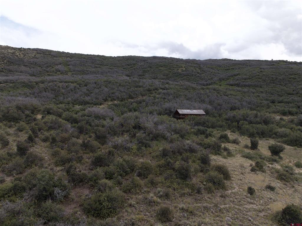 83274 Docs Pond Trail