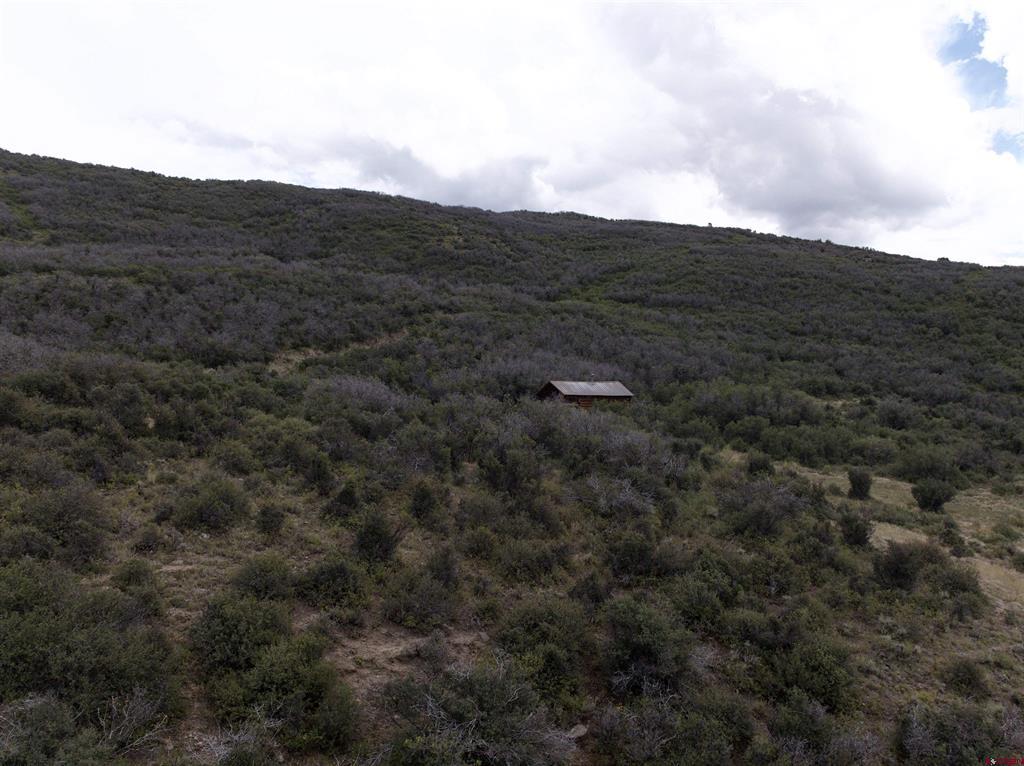 83274 Docs Pond Trail