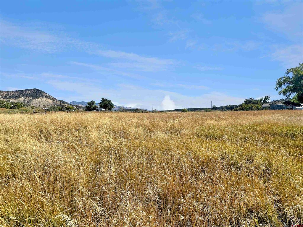 39287 HIGHWAY 92