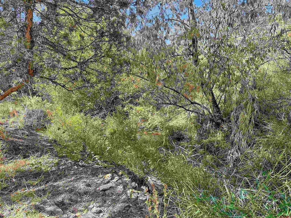 39287 HIGHWAY 92