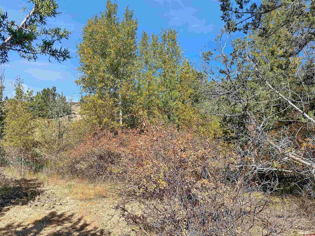 39287 HIGHWAY 92